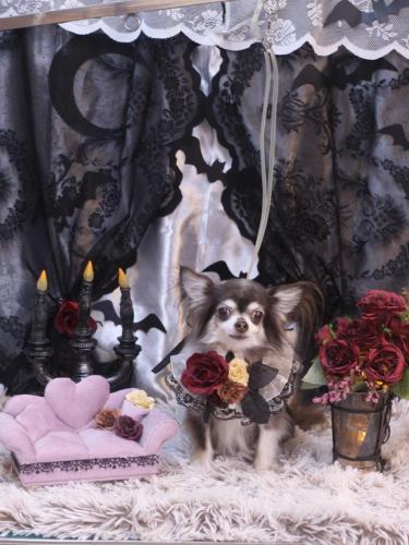 20231027空太くん